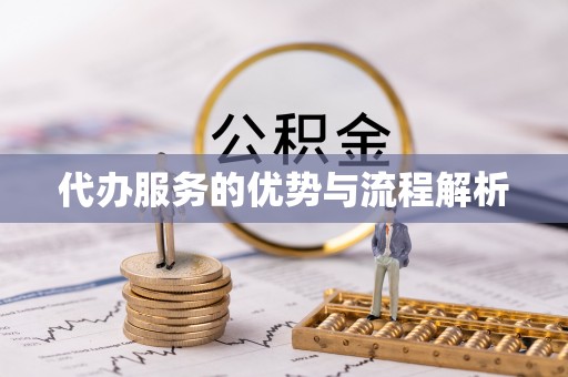 博罗代办服务的优势与流程解析