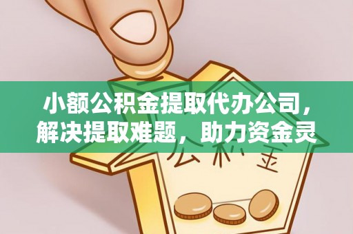 博罗小额公积金提取代办公司，解决提取难题，助力资金灵活使用