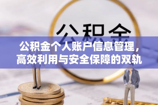 博罗公积金个人账户信息管理，高效利用与安全保障的双轨并行