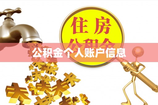 博罗公积金个人账户信息