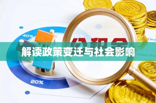 博罗解读政策变迁与社会影响