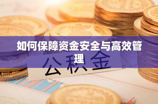 博罗如何保障资金安全与高效管理