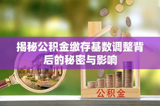 博罗揭秘公积金缴存基数调整背后的秘密与影响