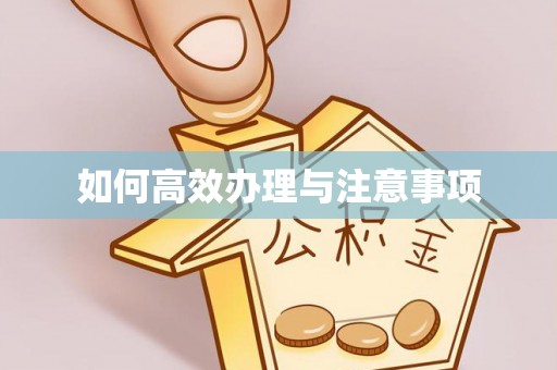 博罗如何高效办理与注意事项