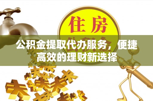 博罗公积金提取代办服务，便捷高效的理财新选择