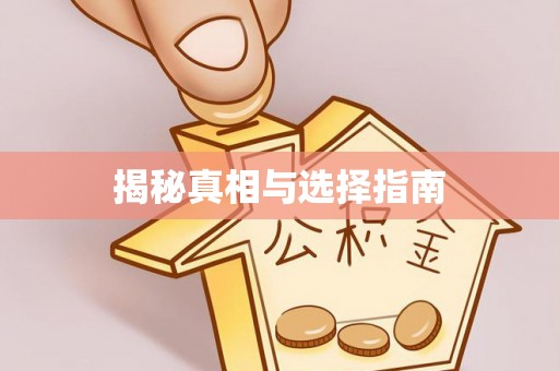 博罗揭秘真相与选择指南