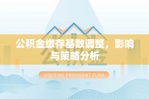 博罗公积金缴存基数调整，影响与策略分析