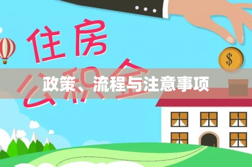 博罗政策、流程与注意事项