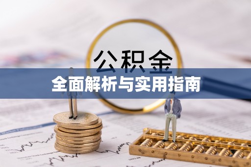 博罗全面解析与实用指南