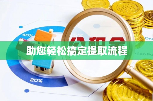 博罗助您轻松搞定提取流程