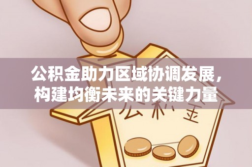 博罗公积金助力区域协调发展，构建均衡未来的关键力量