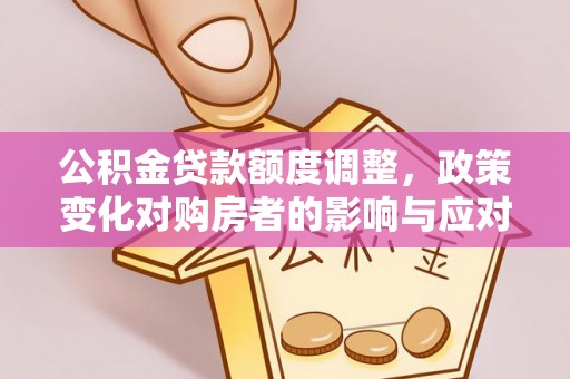 博罗公积金贷款额度调整，政策变化对购房者的影响与应对策略