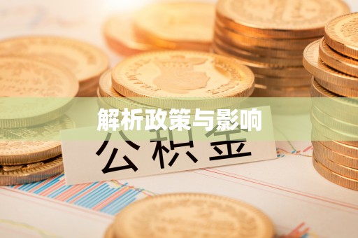 博罗解析政策与影响