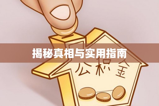 博罗揭秘真相与实用指南