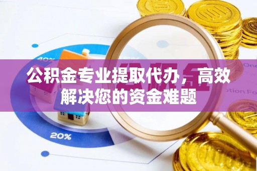 博罗公积金专业提取代办，高效解决您的资金难题