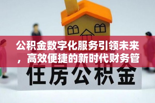 博罗公积金数字化服务引领未来，高效便捷的新时代财务管理