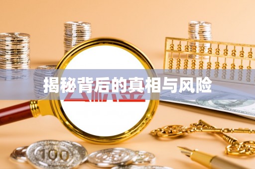 博罗揭秘背后的真相与风险