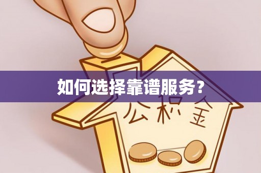 博罗如何选择靠谱服务？