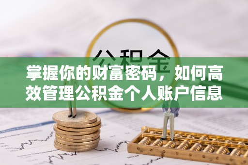 博罗掌握你的财富密码，如何高效管理公积金个人账户信息