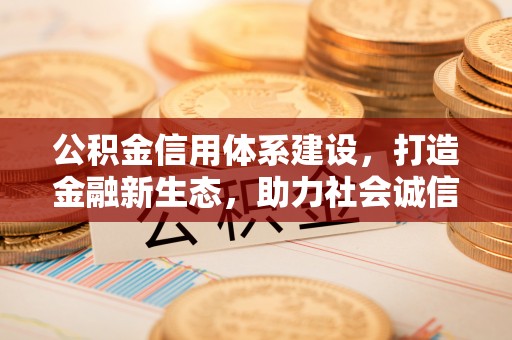 博罗公积金信用体系建设，打造金融新生态，助力社会诚信发展