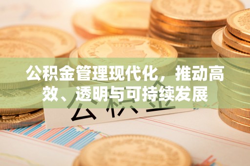 博罗公积金管理现代化，推动高效、透明与可持续发展