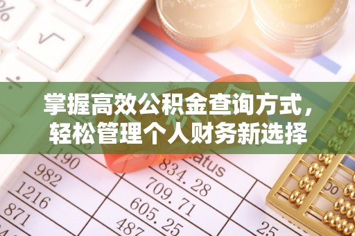 博罗掌握高效公积金查询方式，轻松管理个人财务新选择