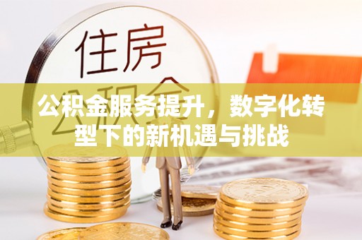 博罗公积金服务提升，数字化转型下的新机遇与挑战