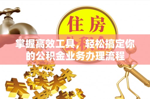 博罗掌握高效工具，轻松搞定你的公积金业务办理流程