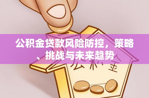 博罗公积金贷款风险防控，策略、挑战与未来趋势