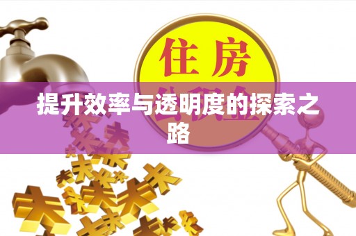 博罗提升效率与透明度的探索之路