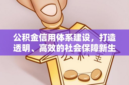 博罗公积金信用体系建设，打造透明、高效的社会保障新生态