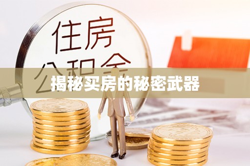 博罗揭秘买房的秘密武器