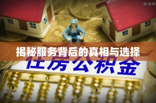 博罗揭秘服务背后的真相与选择