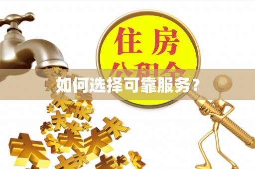 博罗如何选择可靠服务？