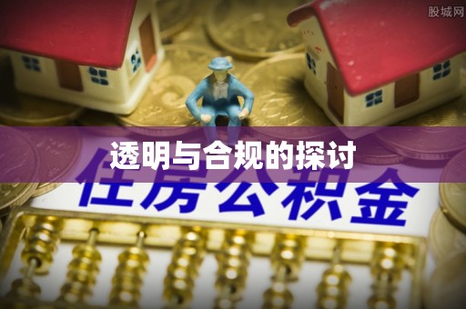 博罗透明与合规的探讨
