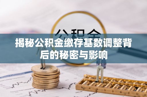 博罗揭秘公积金缴存基数调整背后的秘密与影响