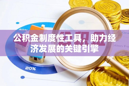 博罗公积金制度性工具，助力经济发展的关键引擎