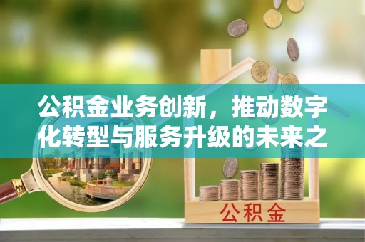 博罗公积金业务创新，推动数字化转型与服务升级的未来之路