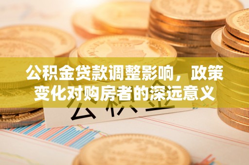 博罗公积金贷款调整影响，政策变化对购房者的深远意义
