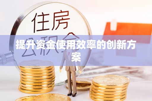 博罗提升资金使用效率的创新方案