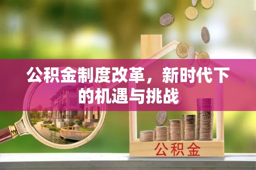 博罗公积金制度改革，新时代下的机遇与挑战
