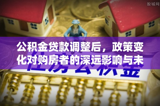 博罗公积金贷款调整后，政策变化对购房者的深远影响与未来趋势分析