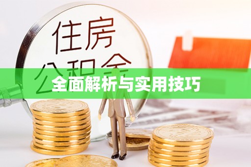 博罗全面解析与实用技巧
