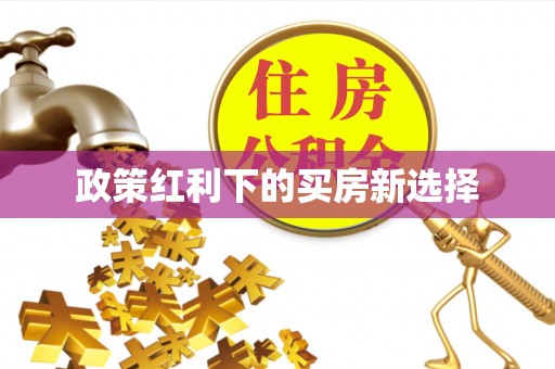 博罗政策红利下的买房新选择
