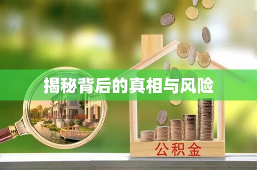 博罗揭秘背后的真相与风险
