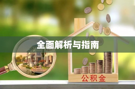 博罗全面解析与指南