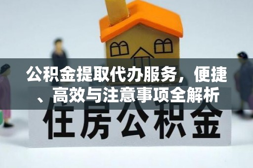博罗公积金提取代办服务，便捷、高效与注意事项全解析