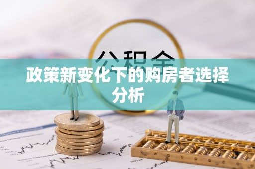 博罗政策新变化下的购房者选择分析