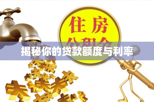 博罗揭秘你的贷款额度与利率