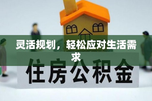 博罗灵活规划，轻松应对生活需求